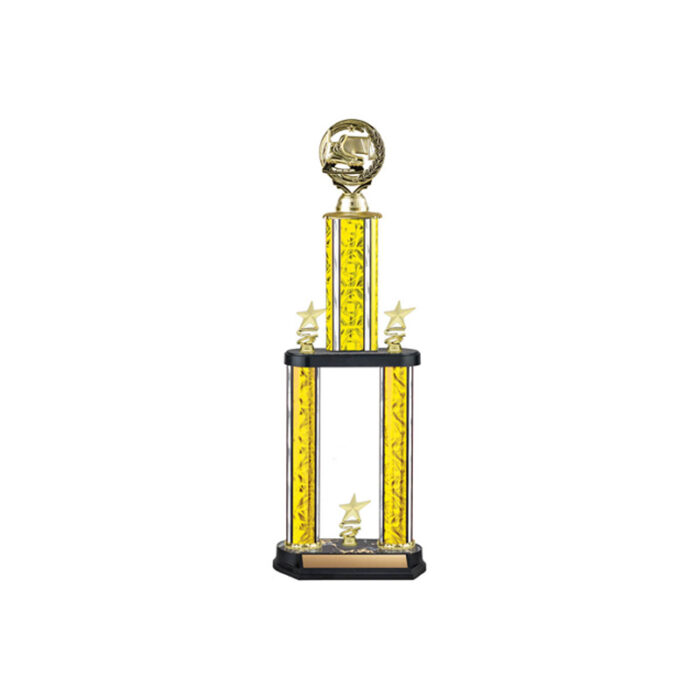 Custom 2 poster trophy