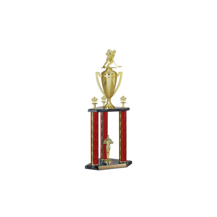 Custom 3 poster trophy